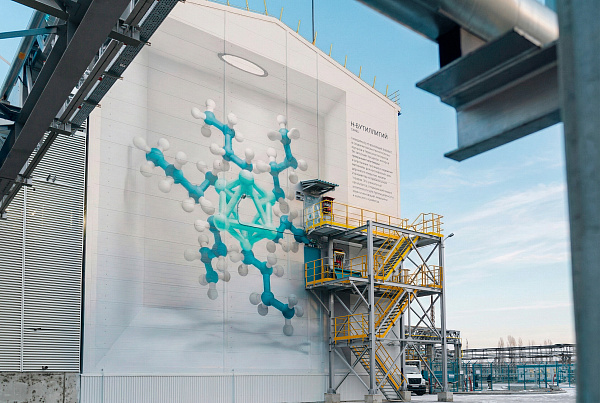 ВСК мурал НБЛ