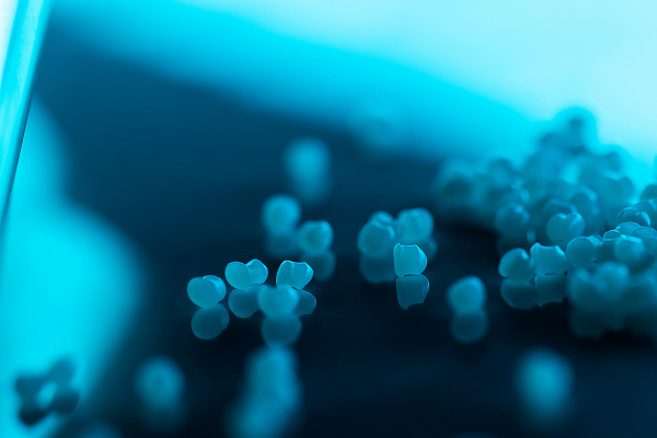 Полипропилен (ПП)