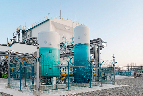 ВСК мурал НБЛ