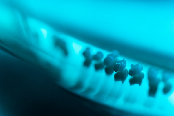 Полипропилен (ПП)